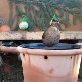 photo 2024-01-26 08-42-17