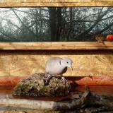 photo 2022-02-06 09-37-03