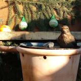 photo 2024-01-11 13-15-58