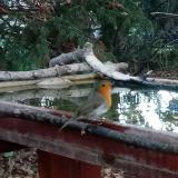 photo 2022-10-16 17-21-13