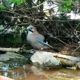 photo 2022-04-21 16-26-15 szajko