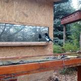 photo 2022-10-29 13-16-29