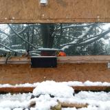 photo 2023-12-07 13-07-30