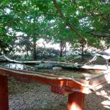 photo 2022-06-03 16-58-32