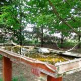 photo 2022-04-30 13-43-55