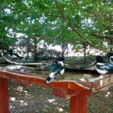 photo 2022-06-03 13-35-22