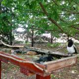 photo 2022-05-23 12-44-43