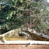 photo 2023-03-13 08-57-48