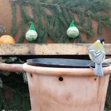 photo 2024-01-13 09-50-37