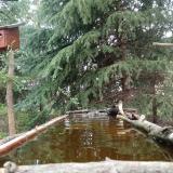 photo 2023-04-01 12-09-12