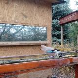 photo 2022-11-28 11-14-17