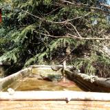 photo 2023-03-13 11-54-09