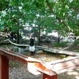 photo 2022-05-26 16-38-12