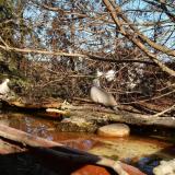 photo 2022-02-16 14-27-48