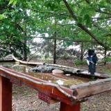 photo 2022-05-29 11-59-25