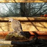 photo 2022-02-13 09-07-04