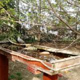 photo 2022-04-07 16-21-54