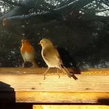 photo 2022-12-13 08-33-39