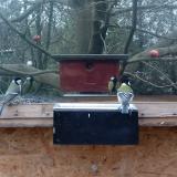 photo 2023-01-27 14-02-09