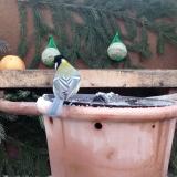 photo 2024-01-08 08-37-34