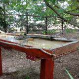 photo 2022-07-11 11-50-09