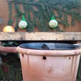 photo 2023-12-28 08-55-41