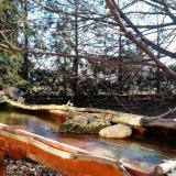 photo 2022-02-24 08-22-33