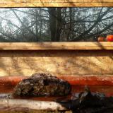 photo 2022-02-11 09-59-12