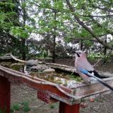 photo 2022-04-18 06-22-27