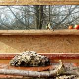 photo 2022-02-08 12-54-33