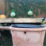 photo 2024-01-13 08-07-41