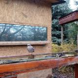 photo 2022-11-20 08-43-16