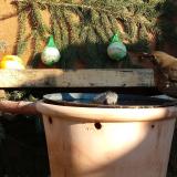 photo 2024-01-11 13-15-16