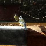 photo 2023-01-06 10-27-04