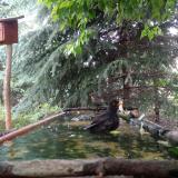 photo 2023-06-08 12-01-57