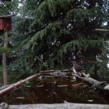 photo 2023-03-30 18-57-05