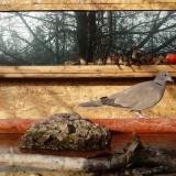 photo 2022-02-06 09-37-27