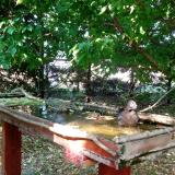 photo 2022-05-12 16-26-05