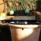 photo 2024-01-11 13-14-59