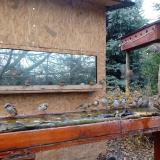 photo 2022-11-28 12-34-54