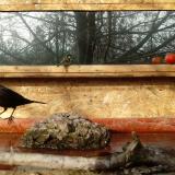 photo 2022-02-06 09-45-53