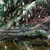 photo 2023-08-31 16-01-26