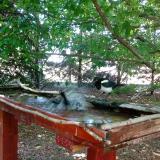 photo 2022-06-01 12-08-26