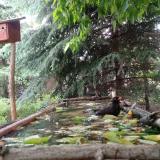 photo 2023-05-25 12-42-45