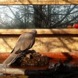 photo 2022-02-11 09-18-24