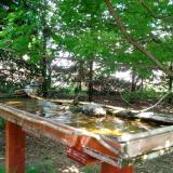 photo 2022-04-29 13-33-24