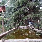 photo 2023-04-06 18-39-16