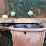 photo 2023-12-28 08-56-26