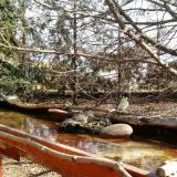 photo 2022-02-20 10-29-12