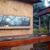 photo 2022-11-13 08-07-52